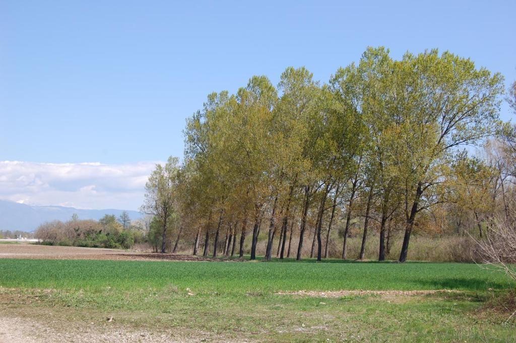 Locanda La Candola Soligo Kültér fotó